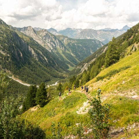 Tour du Mont Blanc intégral 10 jours Trekking Mont Blanc