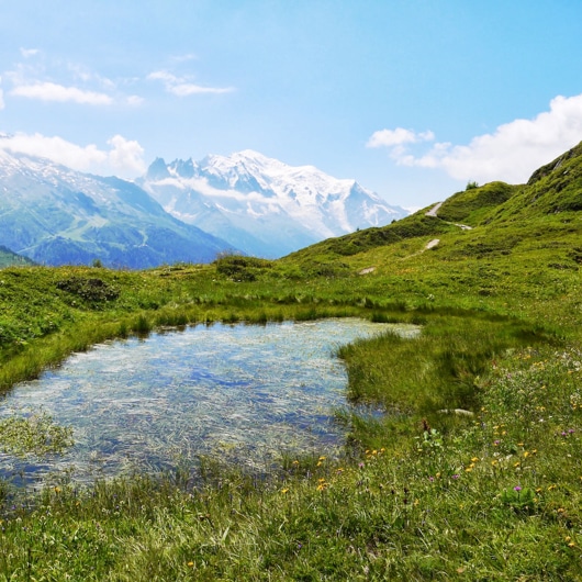 Tour du Mont Blanc 7 Jours - étape 2