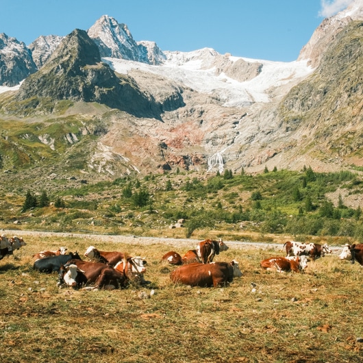 Fin du trek