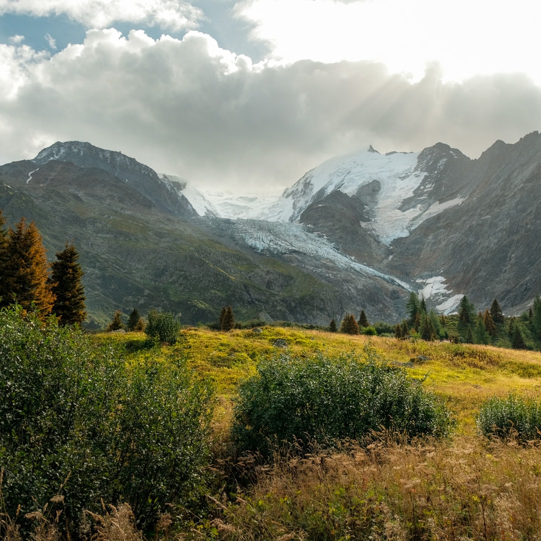 Tour du Mont Blanc in 7 days - D1